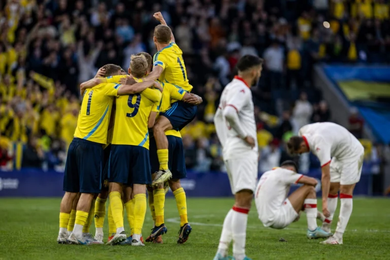 Illustration du match Sweden - Tunisie